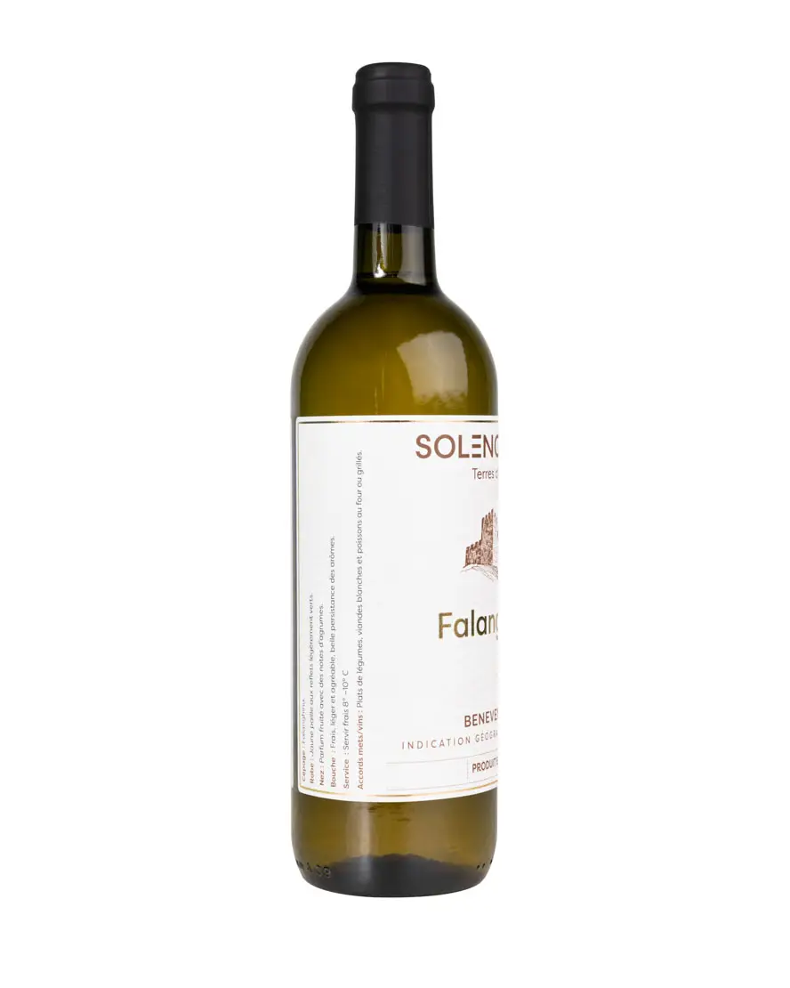 vin blanc falanghina